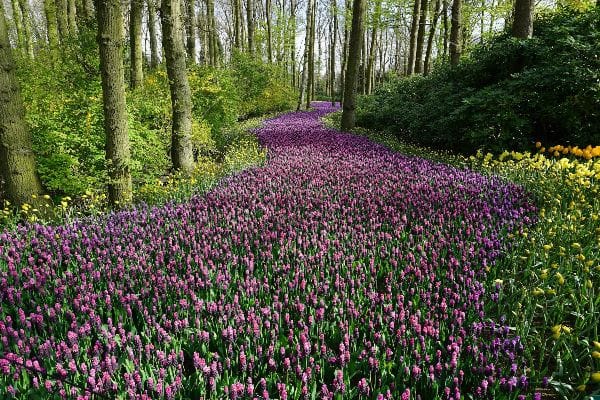 The Most Fertile Day This Year – Anne Ortelee Astrology
