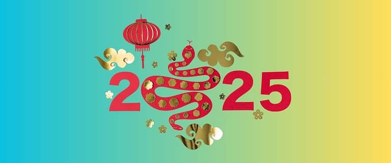 Is 2025 a Good Year to Have a Baby? How Will Children Born in the Year of the Snake Be?