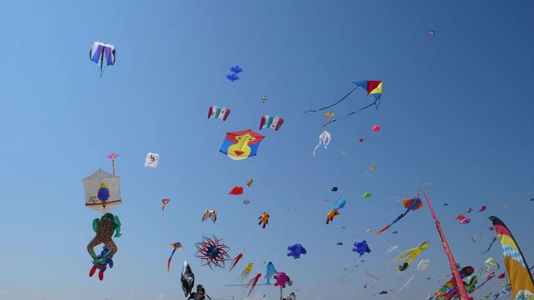 Let’s Go Fly Several Kites – Anne Ortelee Astrology