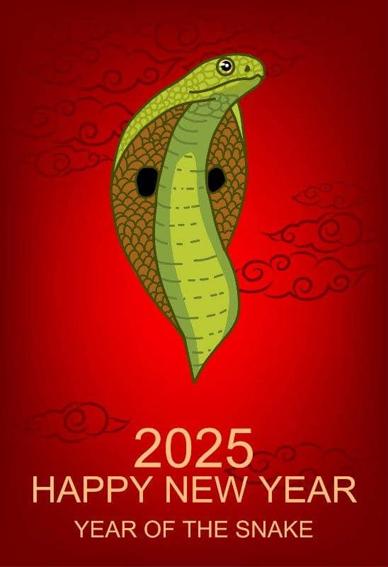 Chinese Year 2025 – how to celebrate it